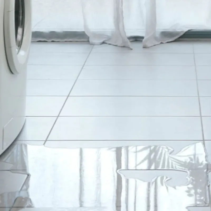 Appliance Leak Cleanup in Mission Bend, TX